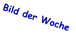Bild der Woche