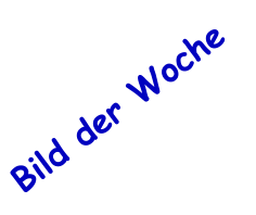 Bild der Woche