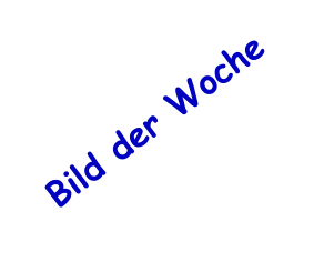 Bild der Woche